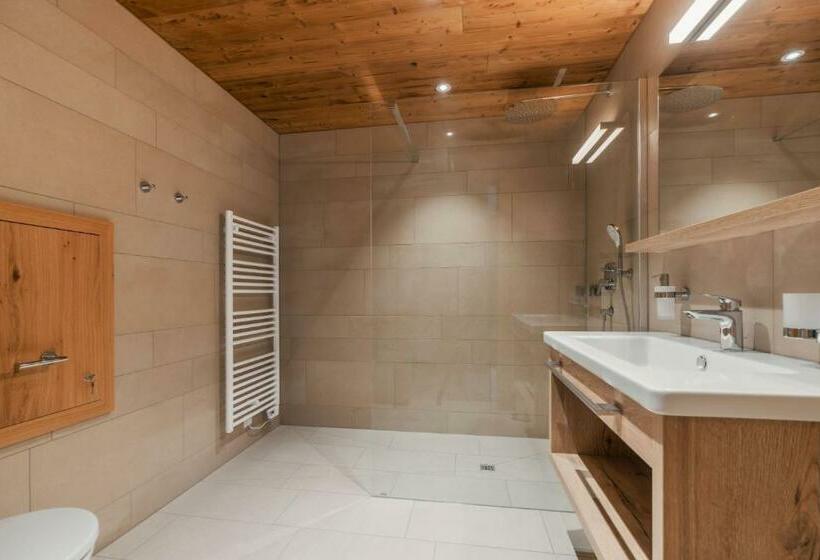 غرفة قياسية, Alpinresortmontafon Garni