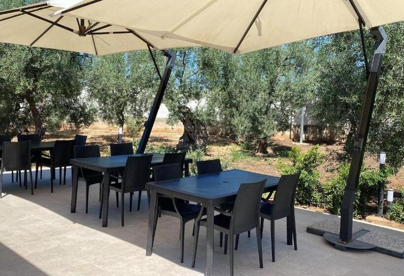 اتاق استاندارد با تخت بزرگ, Relais Belvedere