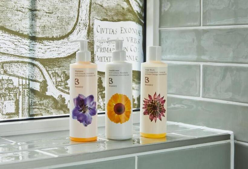 سوئیت با تخت بزرگ, Indigo Exeter, An Ihg