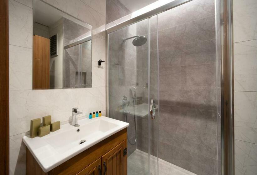 اتاق لوکس, Meli̇tya Hotels Gökçeada