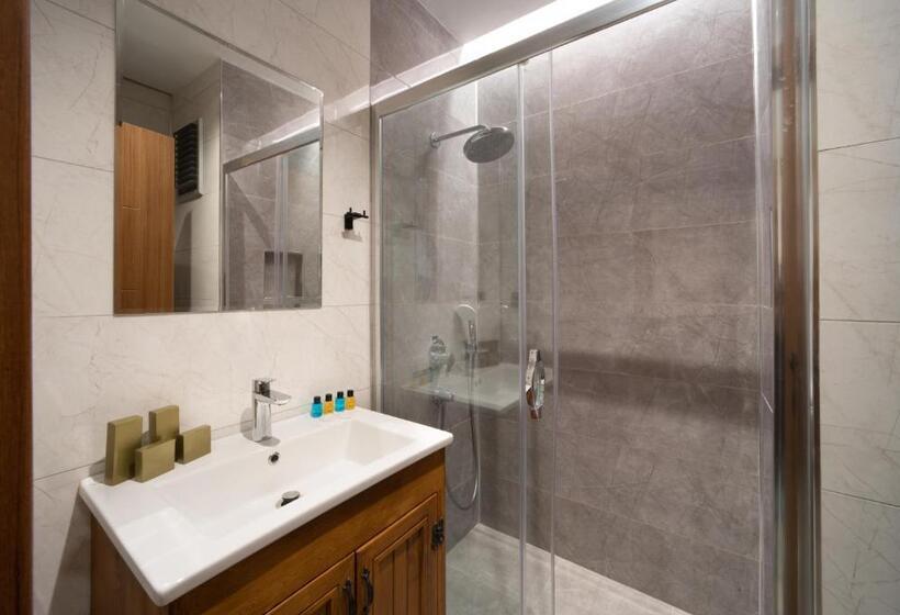 スタンダードルーム, Meli̇tya Hotels Gökçeada