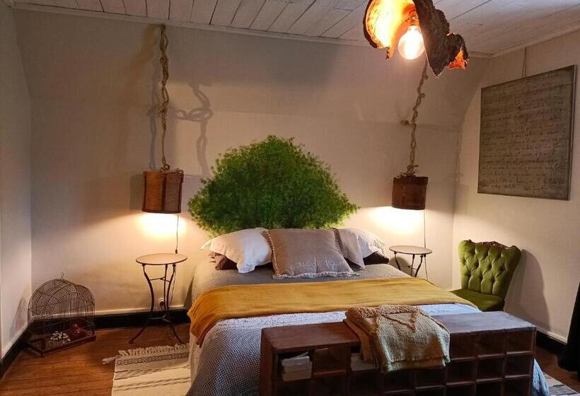 스탠다드 룸 산 전망, Château D Arfeuilles Chambres Et Tables D Hôtes