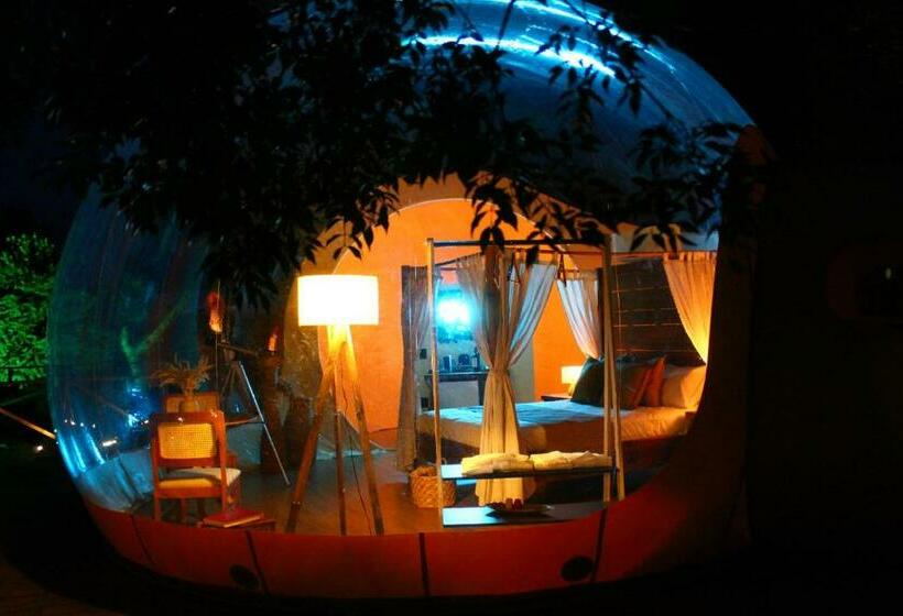 Люкс Кровать Кинг, Zion Bubble Glamping