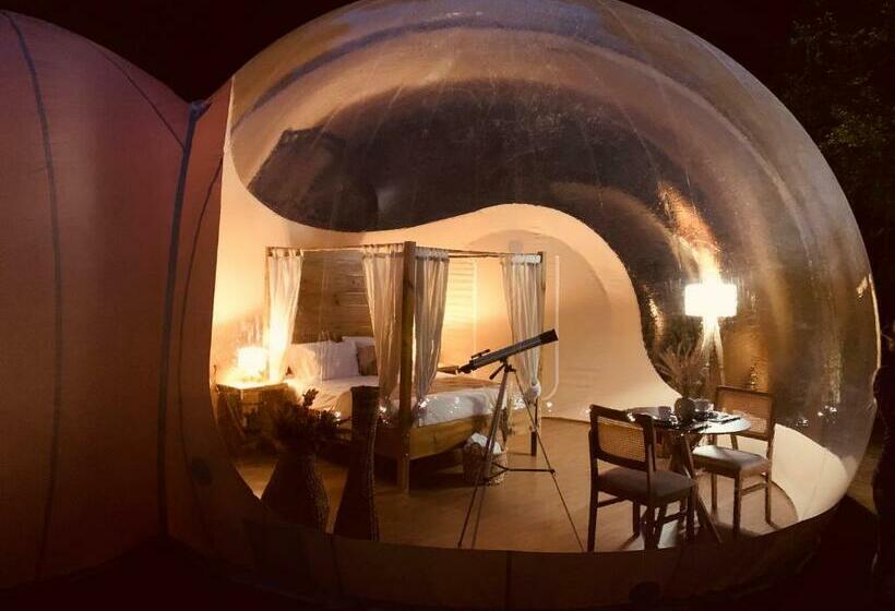 带大床的套房, Zion Bubble Glamping