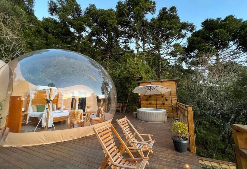 带大床的套房, Zion Bubble Glamping