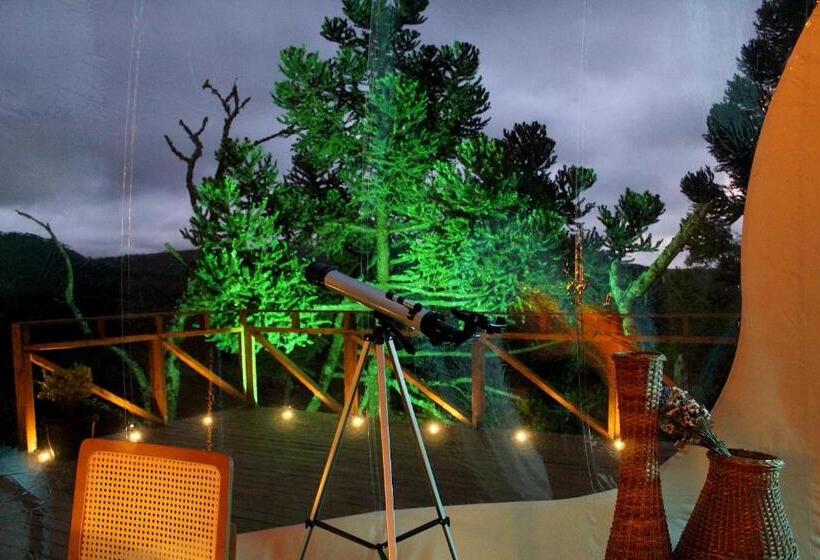 带大床的套房, Zion Bubble Glamping