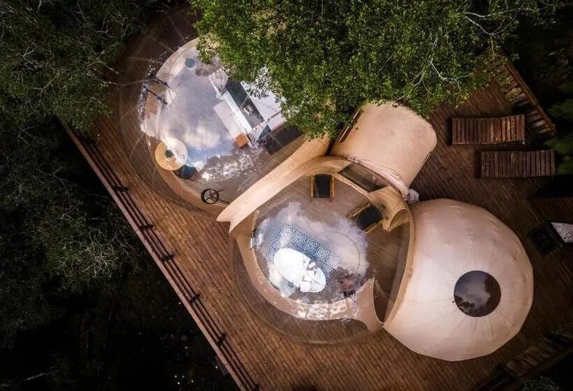 デラックススイート, Zion Bubble Glamping