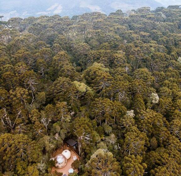 带大床的套房, Zion Bubble Glamping