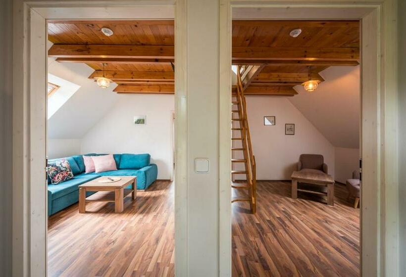 キングサイズベッドのスイートルーム, Vinařství Vrátil Penzion