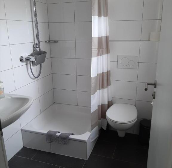 اتاق استاندارد, Pension Asche