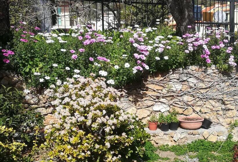 סוויטת ג'וניור דלוקס, B&b Polline & Conchiglie