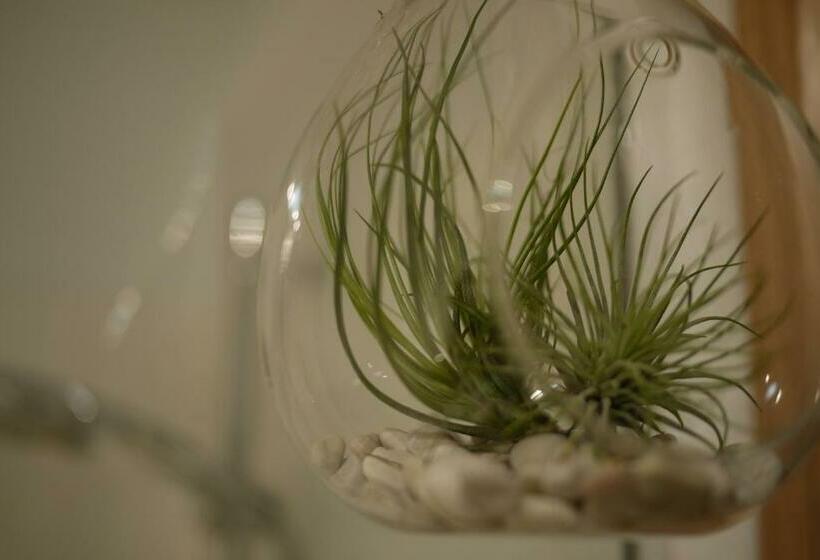 סוויטה נוף להרים, Finnview House