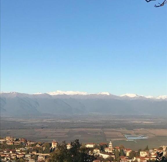 سوییت خانوادگی, Family Hotel In Nukriani , 2km From Sighnaghi