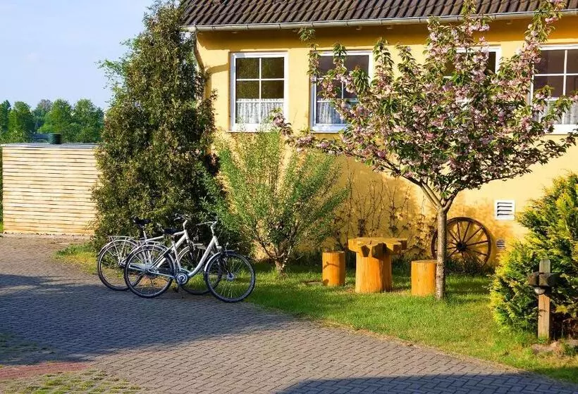 １ベッドルームアパートメント, Am Müritz Nationalpark