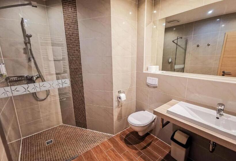 스탠다드 발코니 룸, Wald