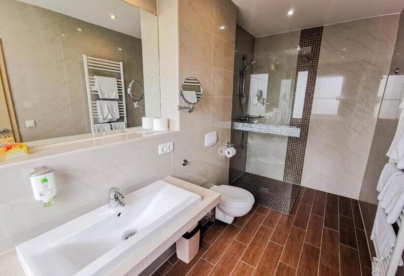 Comfort room with balcony, Wald