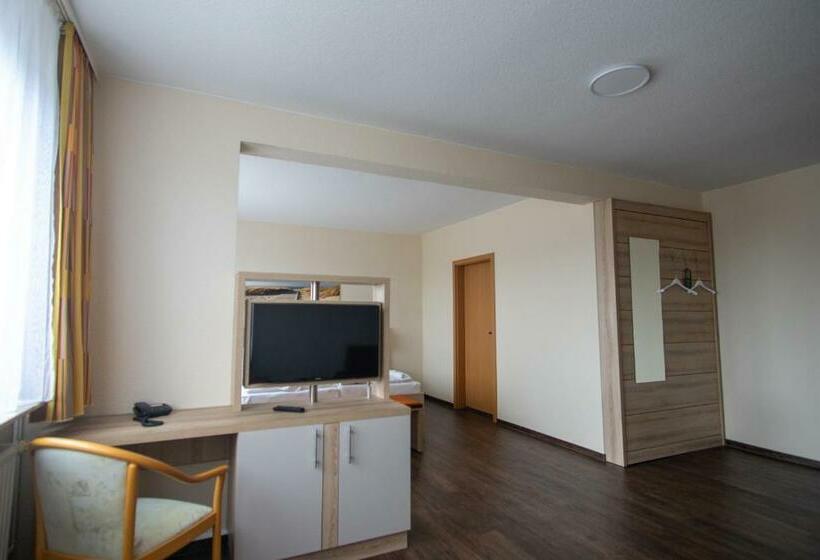 스탠다드 룸, Wikinger