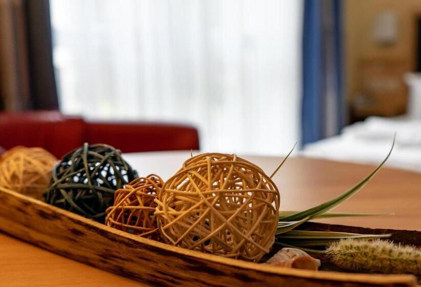 스탠다드 룸, Wikinger