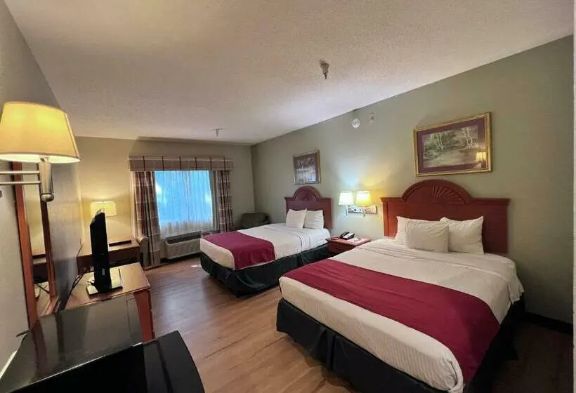 スタンダードルーム, Americas Best Value Inn Wiggins