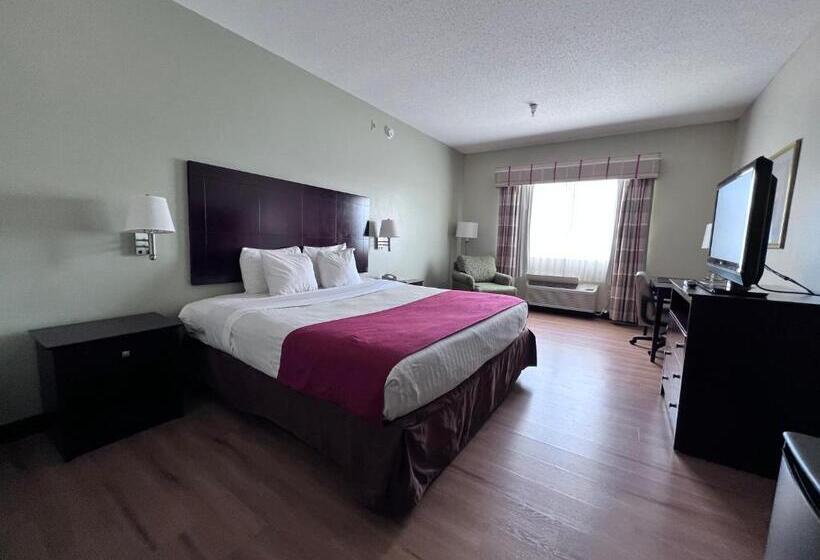 غرفة قياسية سرير كينج لذوى الإحتياجات الخاصة, Americas Best Value Inn Wiggins