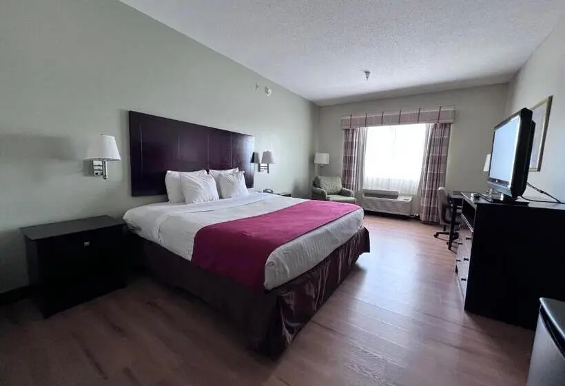 身障者適用キングサイズベッドルーム, Americas Best Value Inn Wiggins