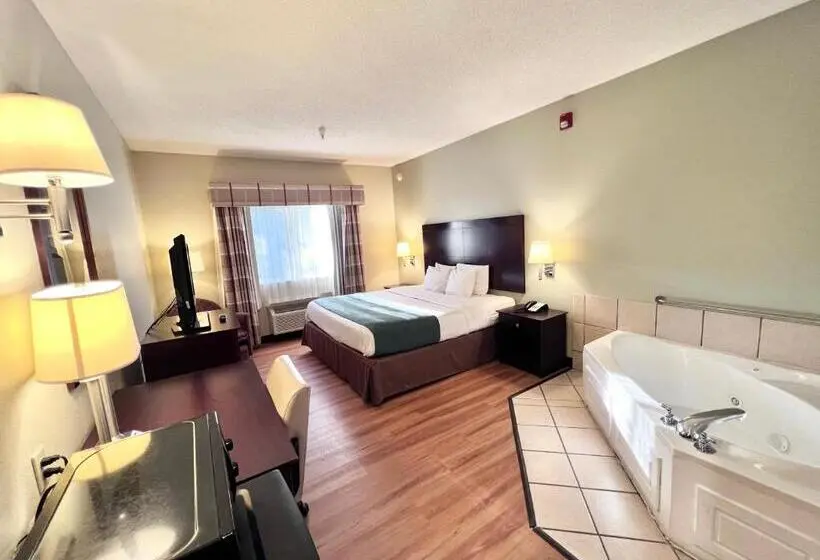 身障者適用キングサイズベッドルーム, Americas Best Value Inn Wiggins