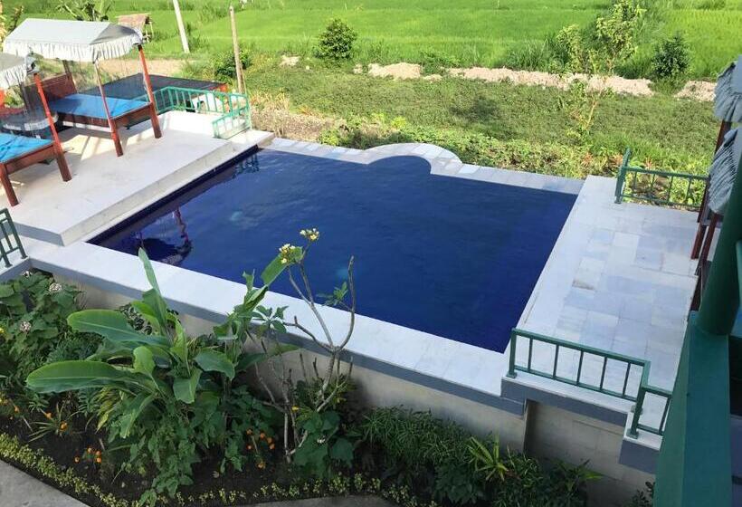 标准房带园景, Gumibali Villa