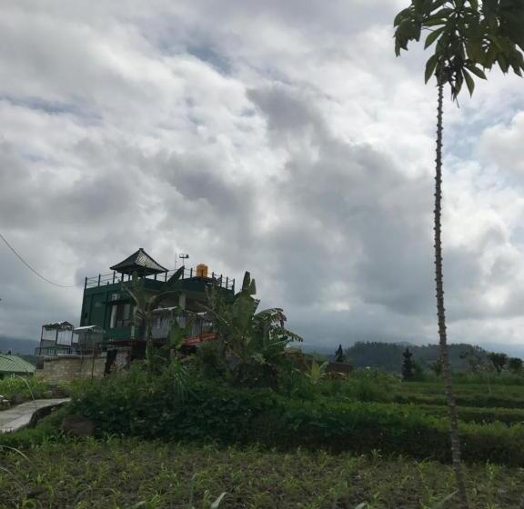 别墅: 1间卧室带游泳池, Gumibali Villa