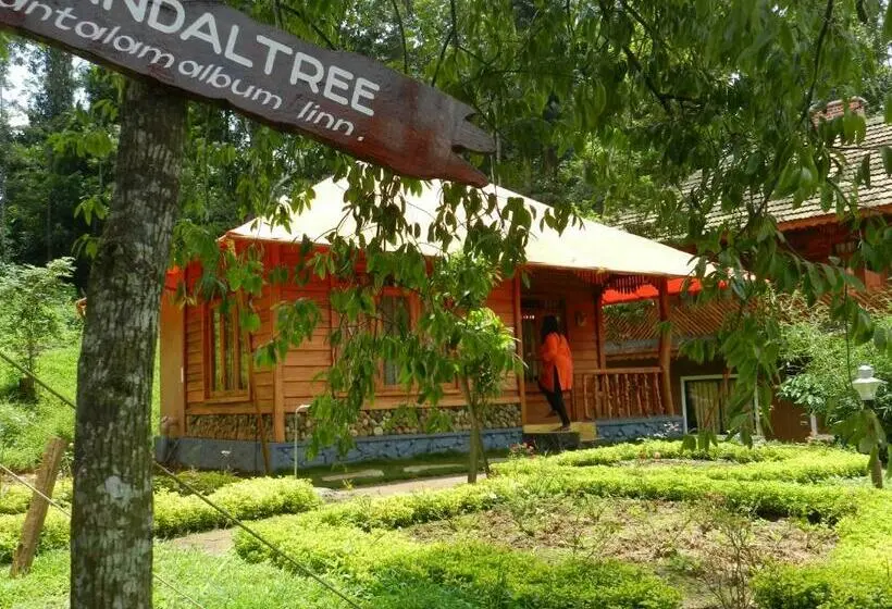 Perhesviitti, Pugmarks Jungle Lodge