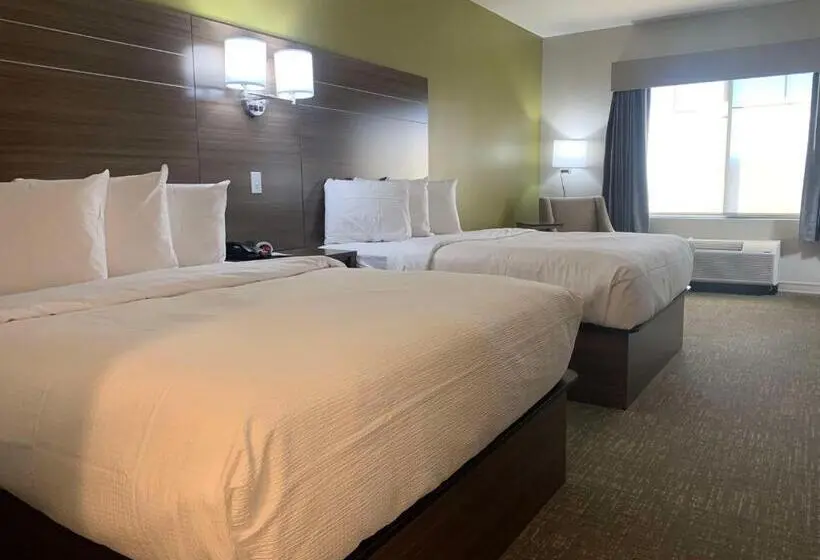 身障者適用スタンダードルーム, Best Western Plus Horseheads Inn & Suites