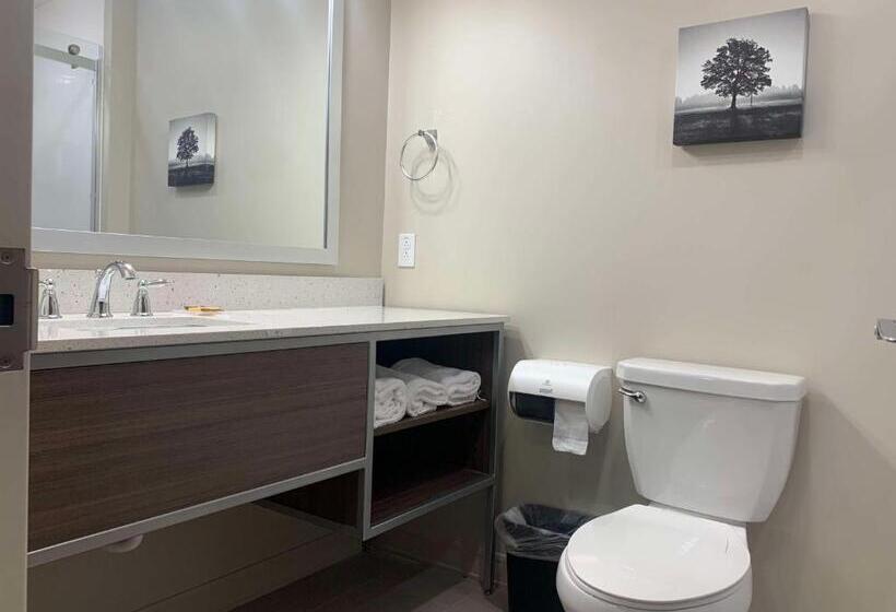 غرفة قياسية لذوى الاحتياجات الخاصة, Best Western Plus Horseheads Inn & Suites