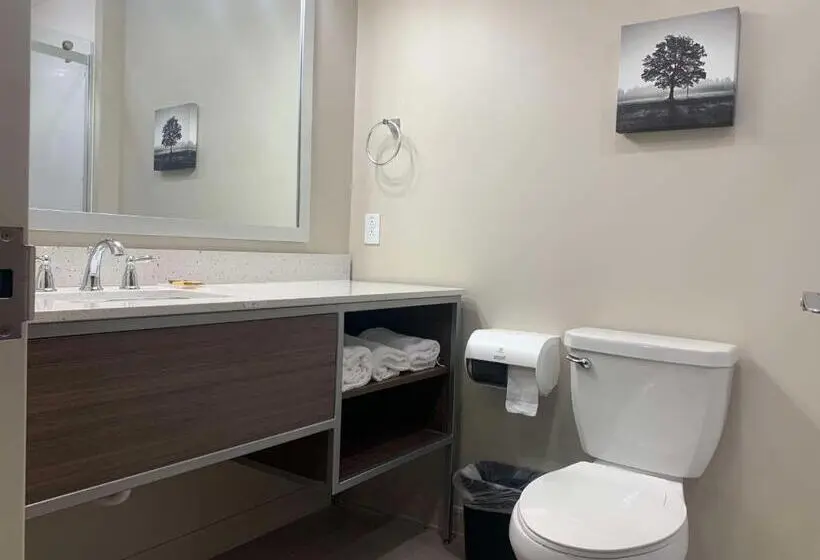 身障者適用スタンダードルーム, Best Western Plus Horseheads Inn & Suites