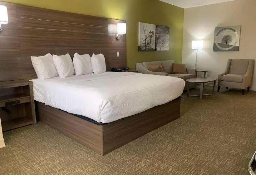 身障者適用キングサイズベッドルーム, Best Western Plus Horseheads Inn & Suites