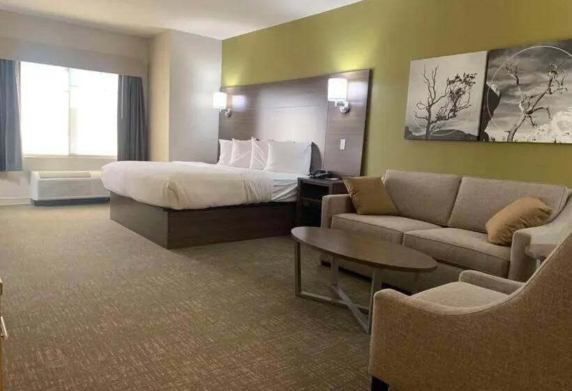 身障者適用キングサイズベッドルーム, Best Western Plus Horseheads Inn & Suites