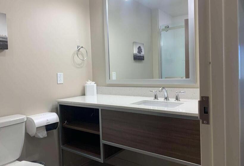 جناح لذوى الاحتياجات الخاصة, Best Western Plus Horseheads Inn & Suites