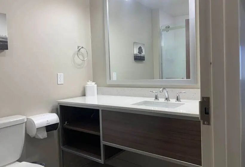 身障者適用スイートルーム, Best Western Plus Horseheads Inn & Suites