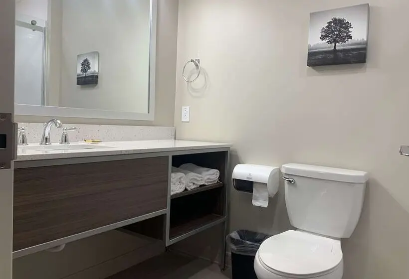 身障者適用スイートルーム, Best Western Plus Horseheads Inn & Suites