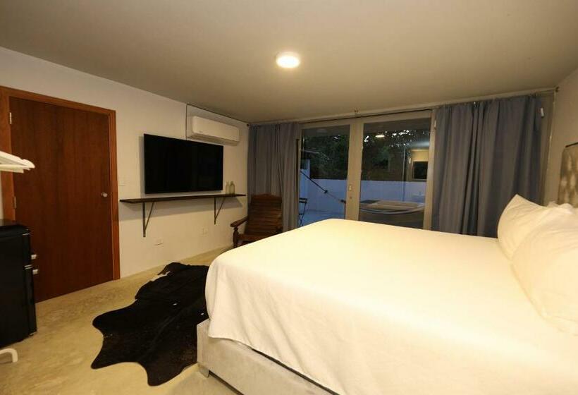 اتاق استاندارد با تخت بزرگ, Viento Beach Lodge