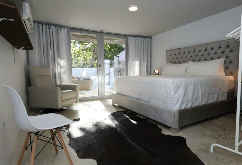 اتاق استاندارد با تخت بزرگ, Viento Beach Lodge