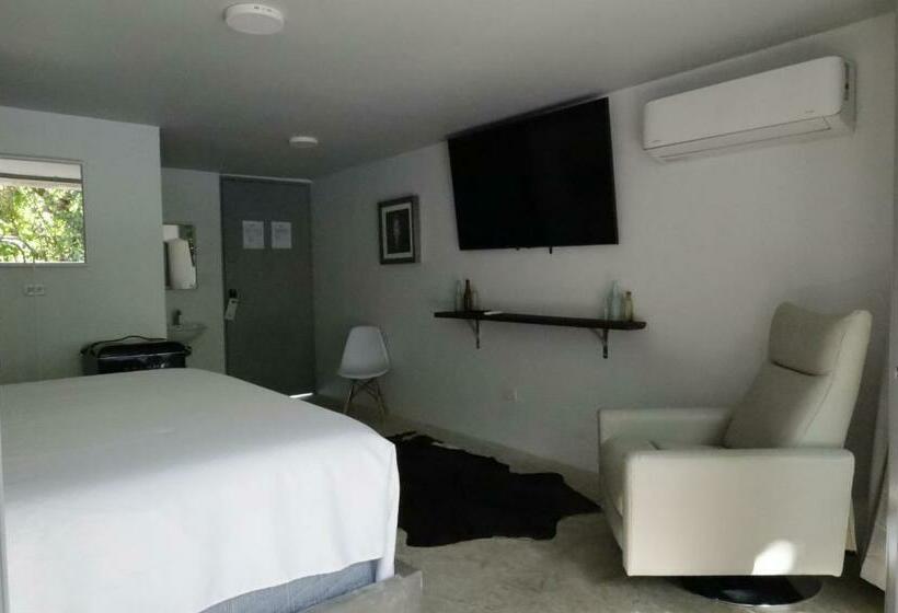 اتاق استاندارد با تخت بزرگ, Viento Beach Lodge