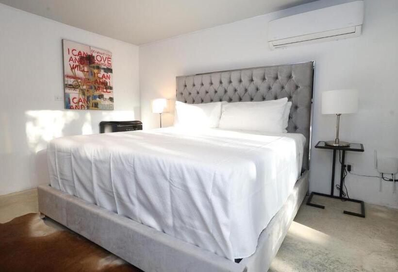 اتاق استاندارد با تخت بزرگ, Viento Beach Lodge