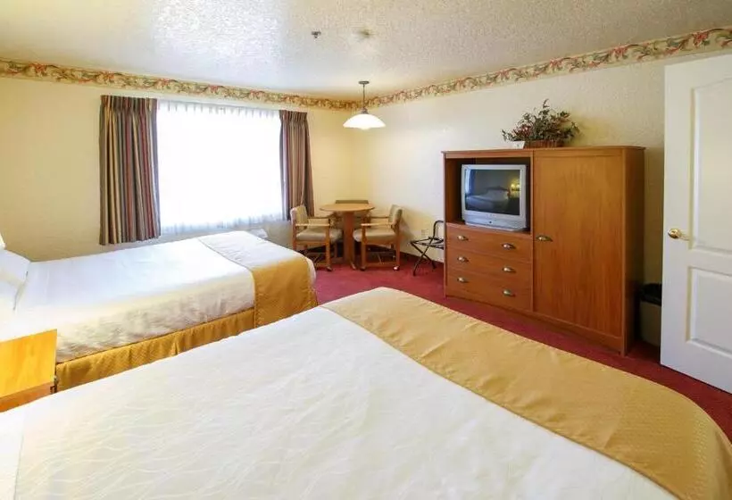سوییت, Murphys Suites