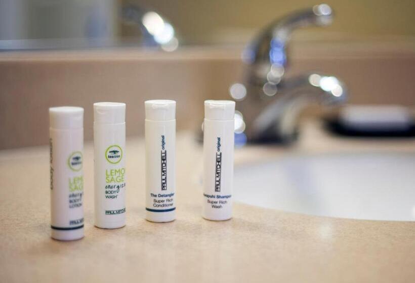 キングサイズベッドのスタンダードルーム, Miramar