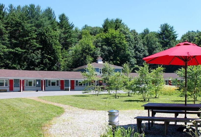 带2个双人床的标准工作室, The Little Lion