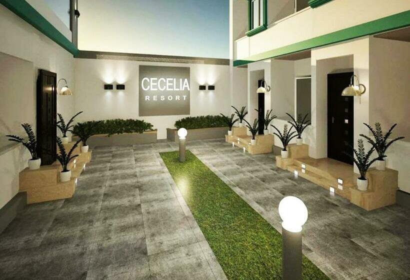 آپارتمان 1 خوابه با تراس, مراحب للاسكان الفندقي   منتجع سيسيليا / Maraheb Group For Hotel Accommodation   Cecelia Resort