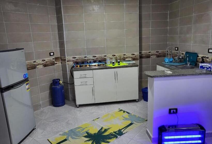 آپارتمان 1 خوابه با تراس, مراحب للاسكان الفندقي   منتجع سيسيليا / Maraheb Group For Hotel Accommodation   Cecelia Resort