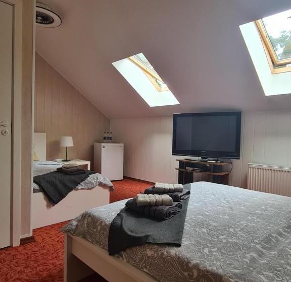 اتاق استاندارد سه نفره, Guest House Kaktus