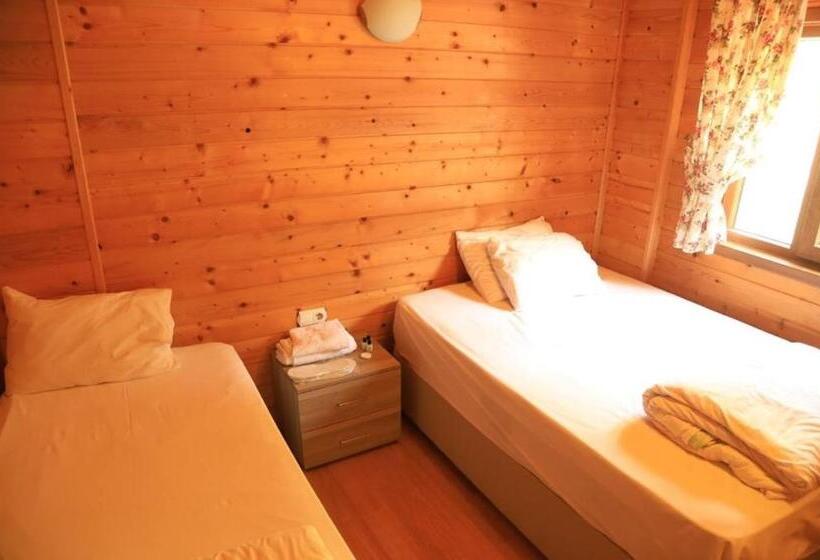 סטודיו משפחתי, Ayder Paradise Otel