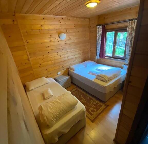 סטודיו משפחתי, Ayder Paradise Otel