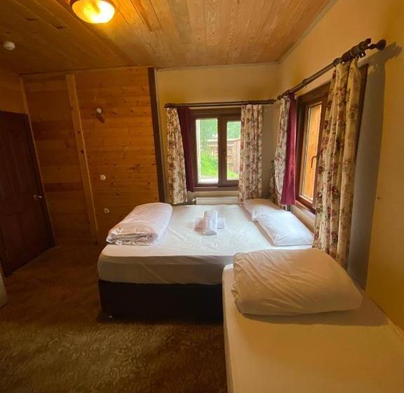 חדר סטנדרטי לשלושה עם נוף, Ayder Paradise Otel